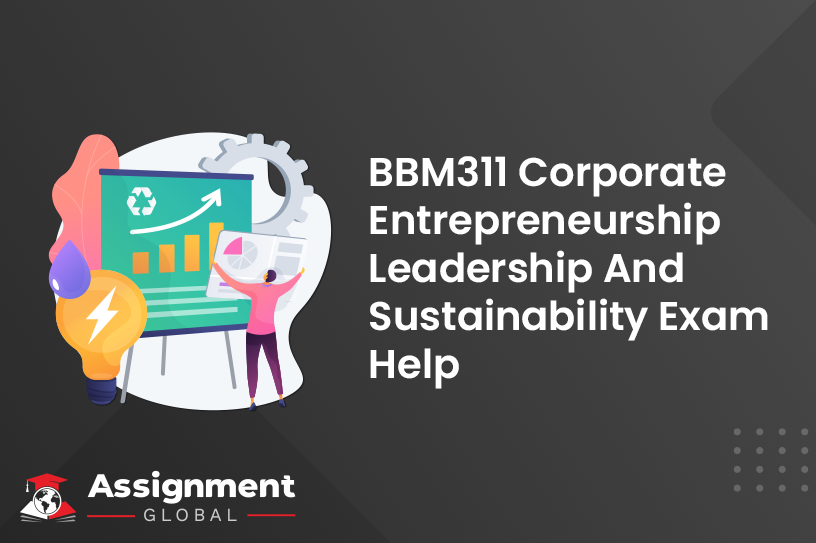 BBM311 Corporate Entrepreneurship Leadership And Sustainability Exam Help