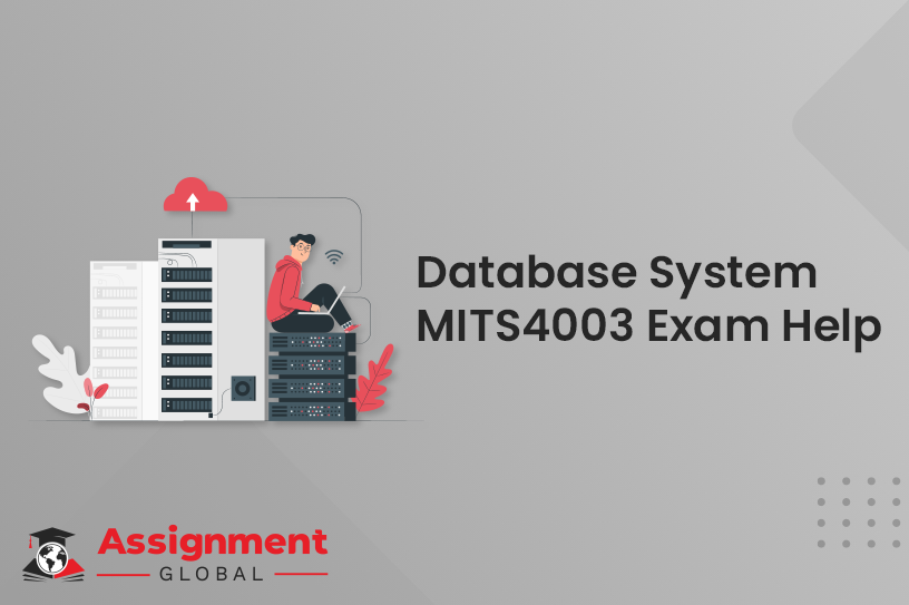 Database System MITS4003 Exam Help