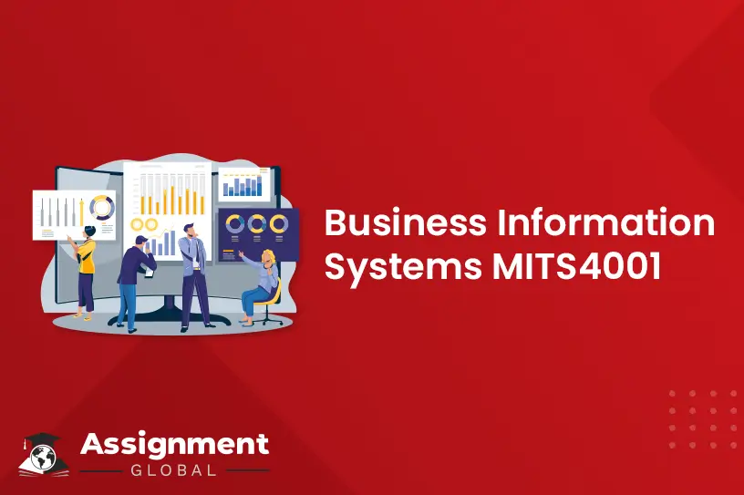 Business Information Systems MITS4001