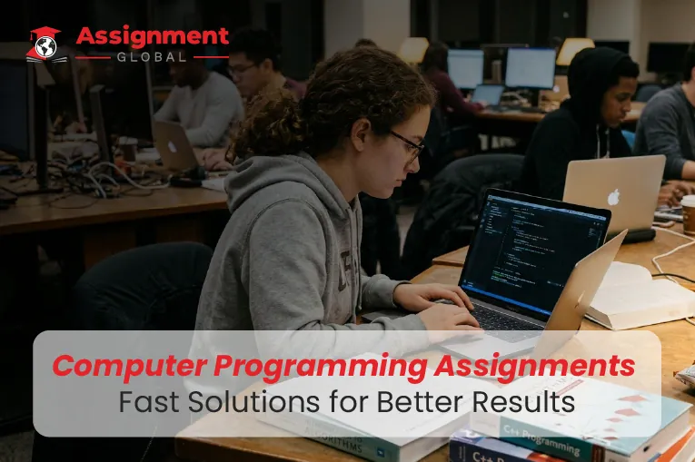 computer programming assignments fast solutions