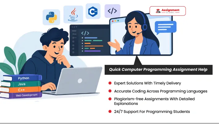 computer programming assignments fast solutions